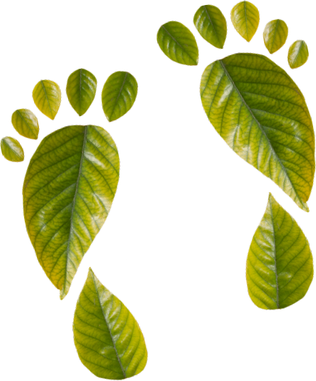 Formato do pé com folhas